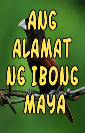 Ang Alamat ng Ibong Maya