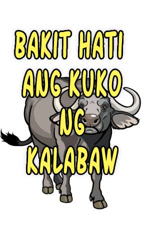 Bakit Hati Ang Kuko Ng Kalabaw?