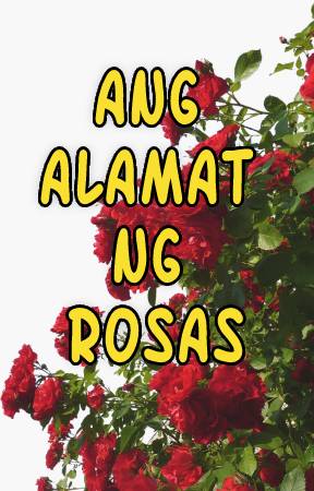 Ang Alamat ng Rosas