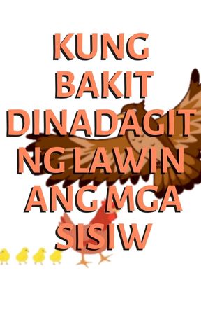 KUNG BAKIT DINADAGIT NG LAWIN ANG MGA SISIW