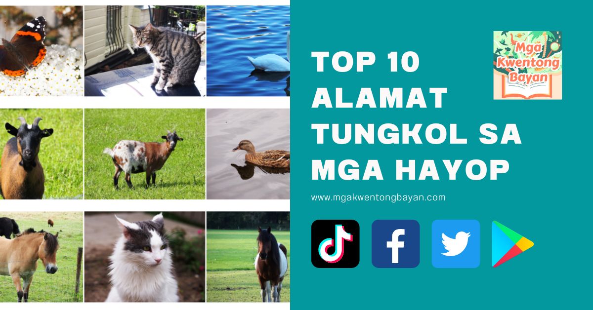 Top 10 Alamat Tungkol Sa Mga Hayop