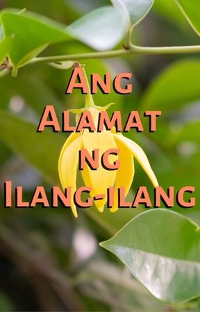 Ang Alamat ng Ilang-ilang